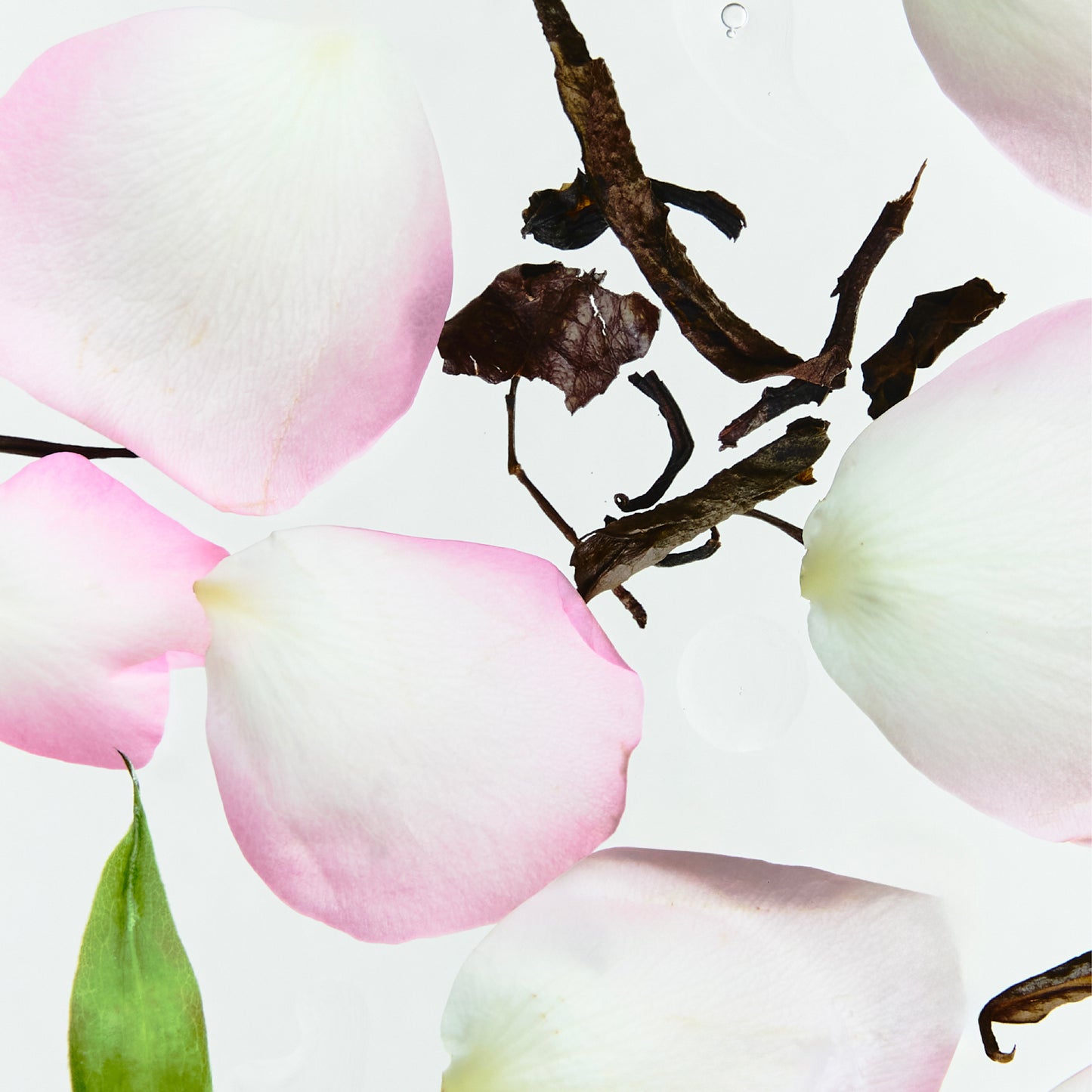 Geranium Essential Oil Lotion