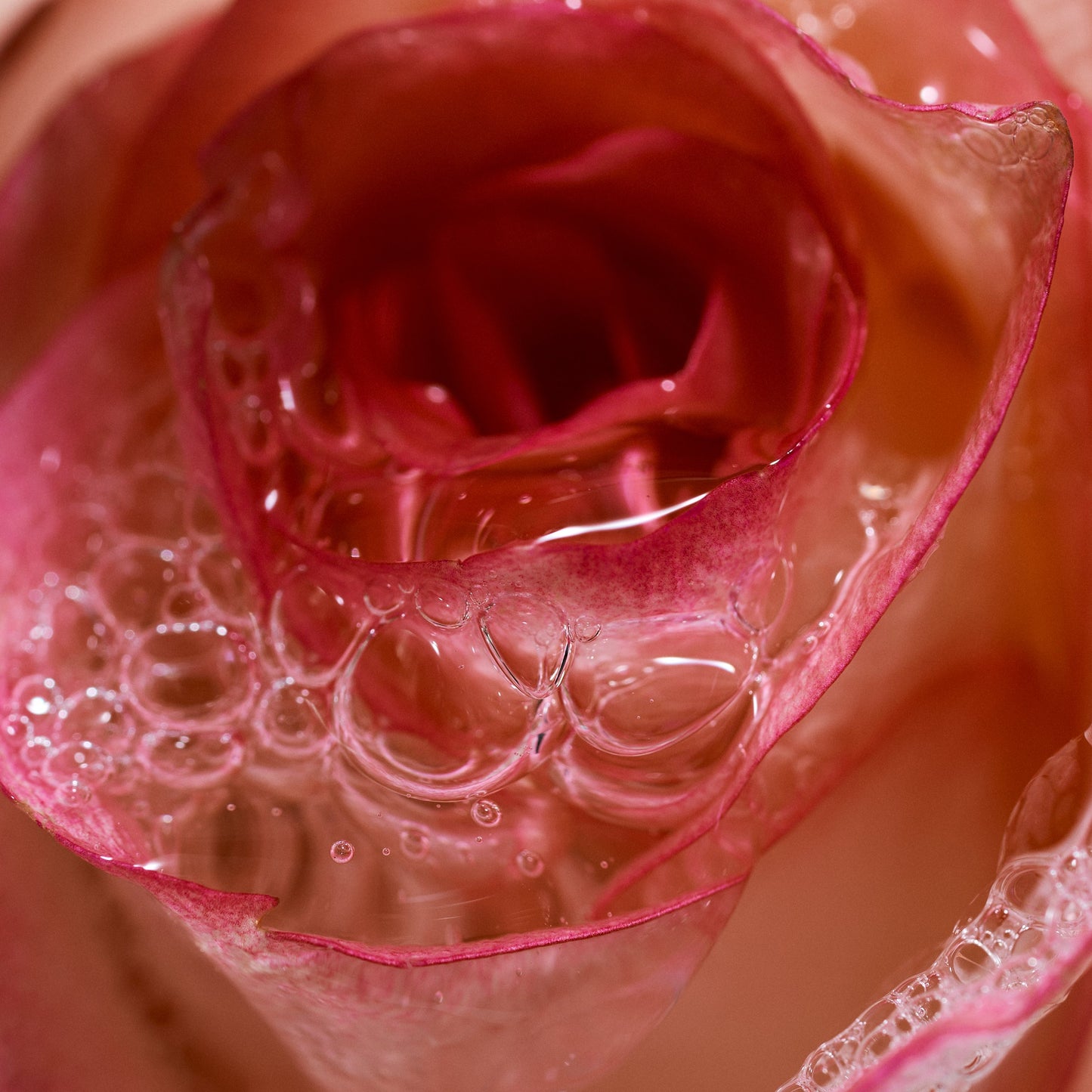 Wild Rose Bath Gel