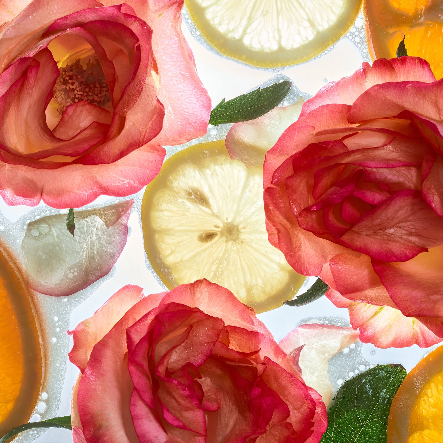Wild Rose Bath Gel