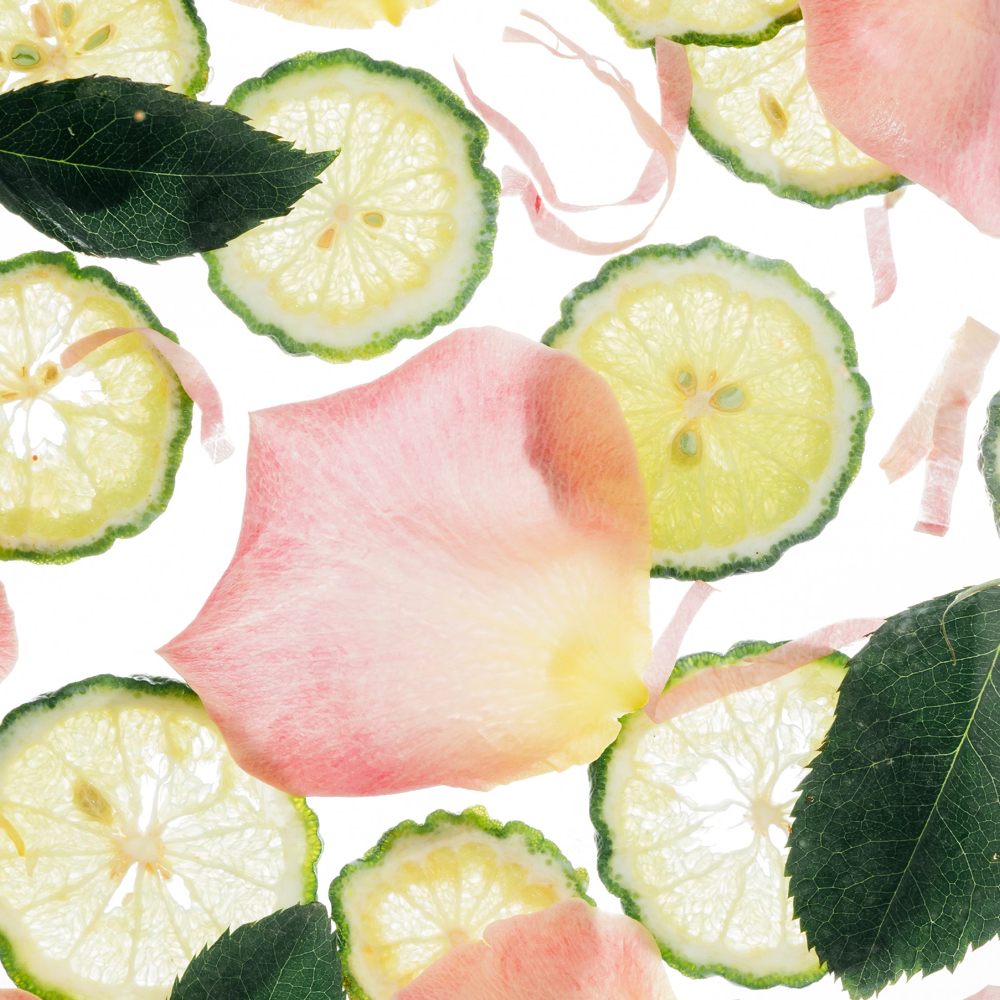Sliced green citrus fruits and pink rose petals on a white background