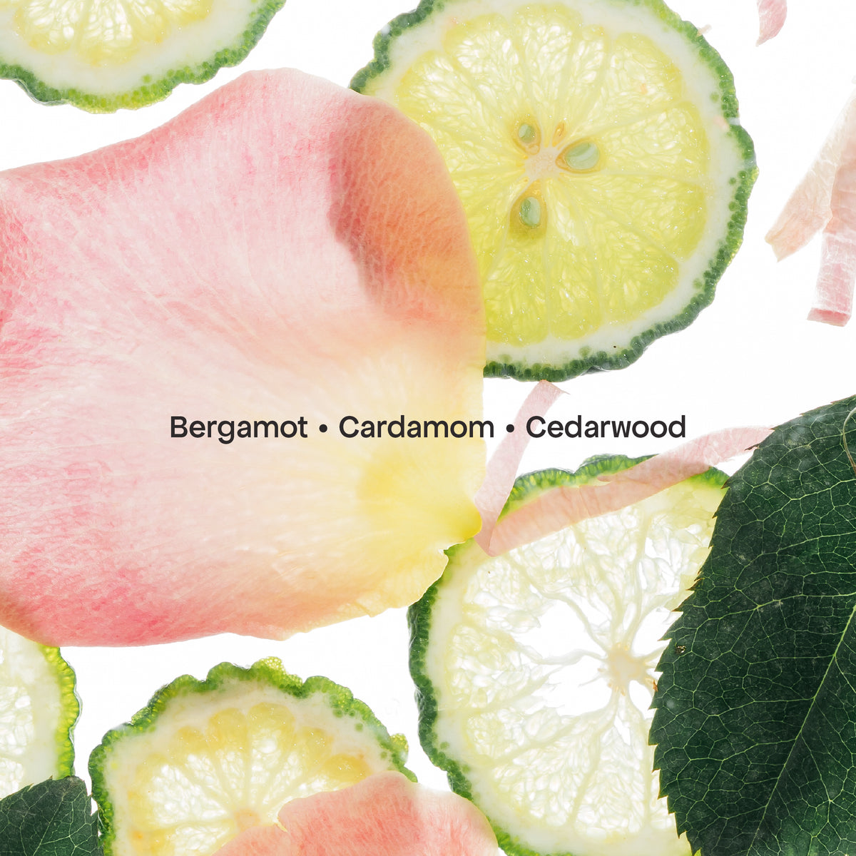 Cedar Rain Bath Gel with Scrub